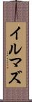 イルマズ Scroll
