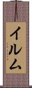 イルム Scroll