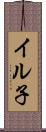 イル子 Scroll