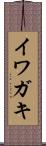 イワガキ Scroll