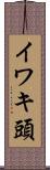 イワキ頭 Scroll