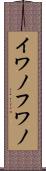 イワノフワノ Scroll