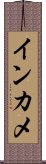 インカメ Scroll