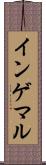インゲマル Scroll