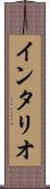 インタリオ Scroll