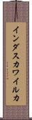 インダスカワイルカ Scroll