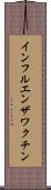 インフルエンザワクチン Scroll