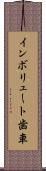 インボリュート歯車 Scroll