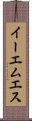 イーエムエス Scroll