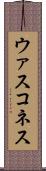 ウァスコネス Scroll