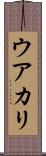 ウアカリ Scroll