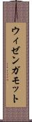 ウィゼンガモット Scroll