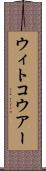 ウィトコウアー Scroll