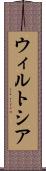 ウィルトシア Scroll