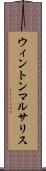 ウィントンマルサリス Scroll