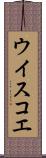 ウイスコエ Scroll