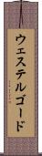 ウェステルゴード Scroll