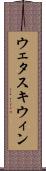 ウェタスキウィン Scroll