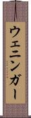 ウェニンガー Scroll