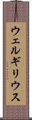 ウェルギリウス Scroll