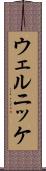 ウェルニッケ Scroll