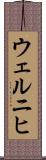 ウェルニヒ Scroll