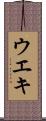 ウエキ Scroll