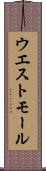 ウエスト・モール Scroll