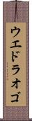 ウエドラオゴ Scroll
