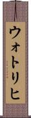 ウォトリヒ Scroll