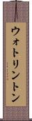 ウォトリントン Scroll