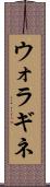 ウォラギネ Scroll