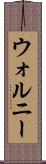 ウォルニー Scroll