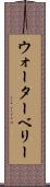 ウォーターベリー Scroll