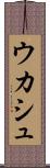 ウカシュ Scroll