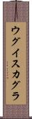 ウグイスカグラ Scroll