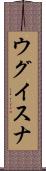 ウグイスナ Scroll
