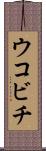 ウコビチ Scroll