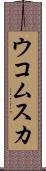 ウコムスカ Scroll
