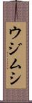ウジムシ Scroll