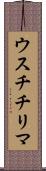 ウスチチリマ Scroll