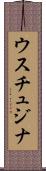 ウスチュジナ Scroll