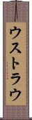 ウストラウ Scroll