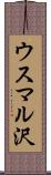 ウスマル沢 Scroll