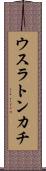 ウスラトンカチ Scroll