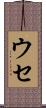 ウセ Scroll