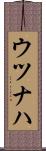 ウツナハ Scroll