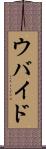 ウバイド Scroll