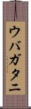 ウバガタニ Scroll