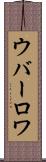 ウバーロワ Scroll